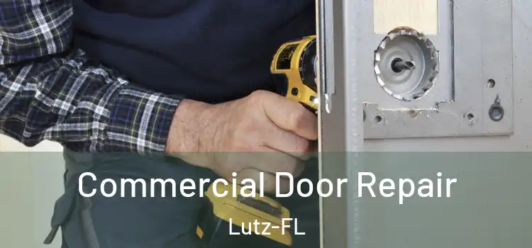  Commercial Door Repair Lutz-FL