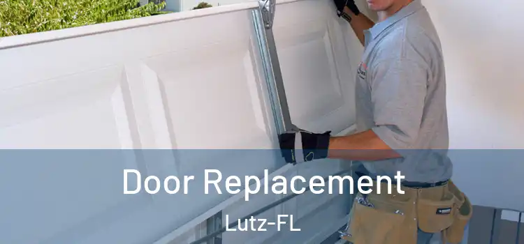  Door Replacement Lutz-FL