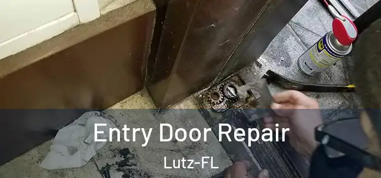  Entry Door Repair Lutz-FL