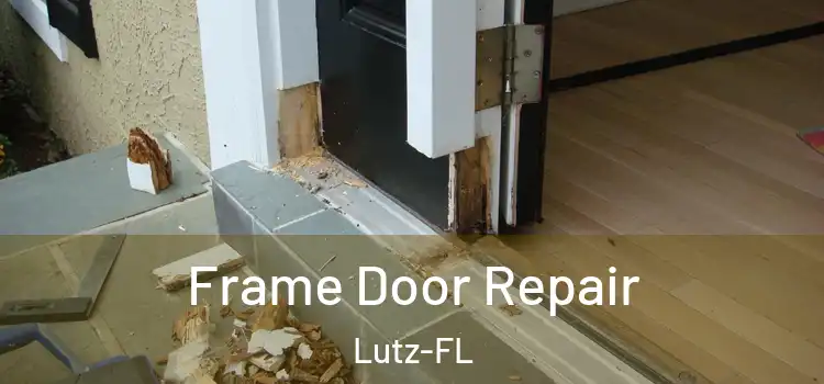  Frame Door Repair Lutz-FL
