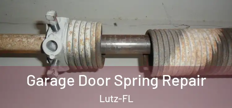 Garage Door Spring Repair Lutz-FL
