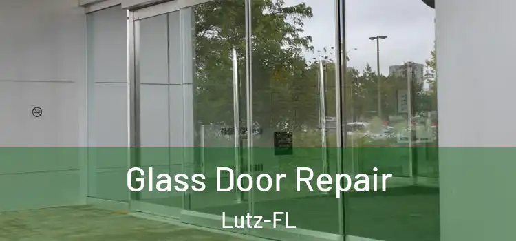  Glass Door Repair Lutz-FL