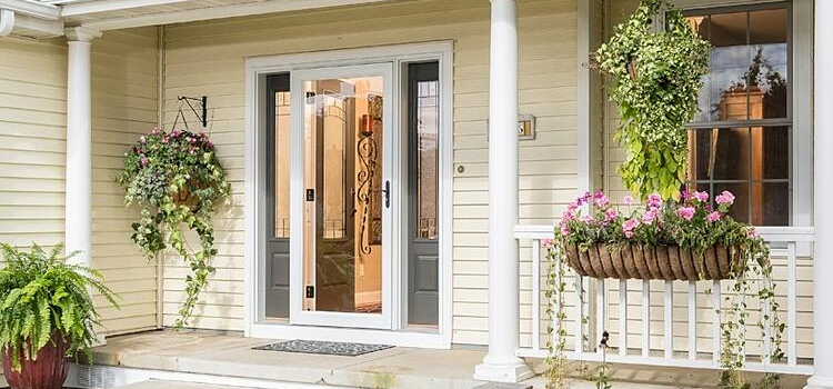 screen door installation in Lutz
