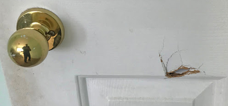 interior door hole repair Lutz