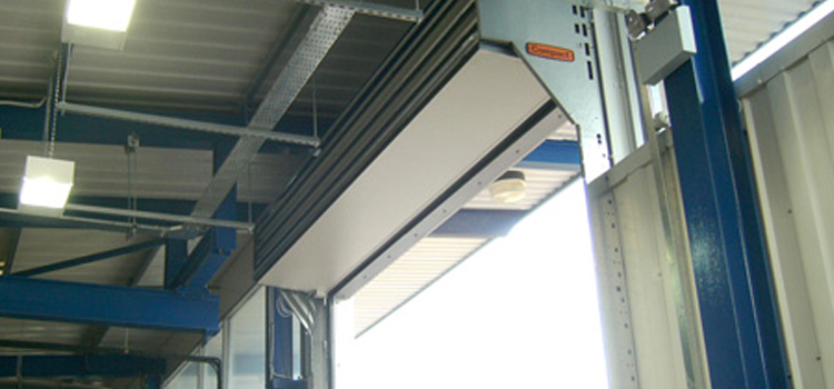 overhead sectional doors Lutz