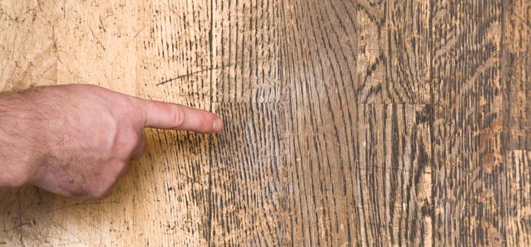 Wood Door Scratch Repair in Lutz