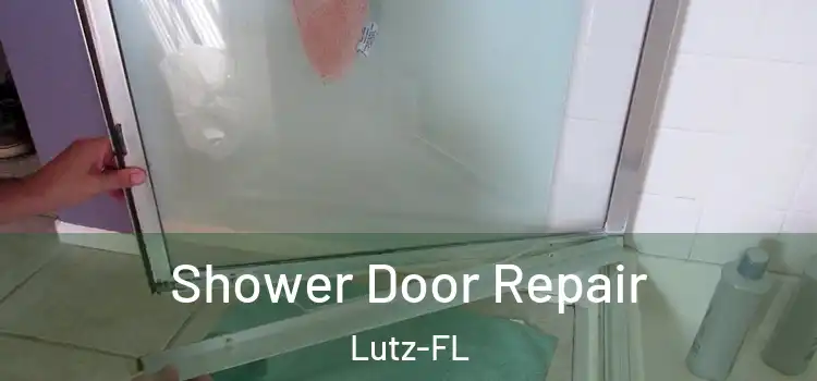  Shower Door Repair Lutz-FL