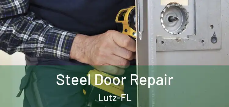 Steel Door Repair Lutz-FL