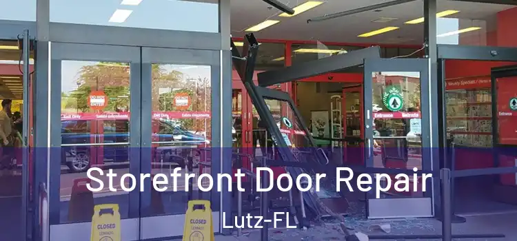  Storefront Door Repair Lutz-FL